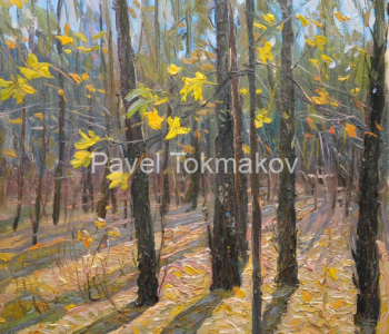 Location private collection